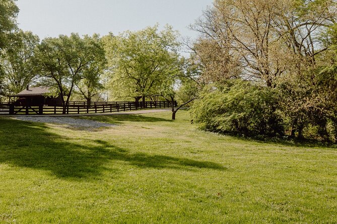 Battle at Belle Meade Civil War Tour & Complimentary Wine Tasting - The Optional Wine Tasting Afterward