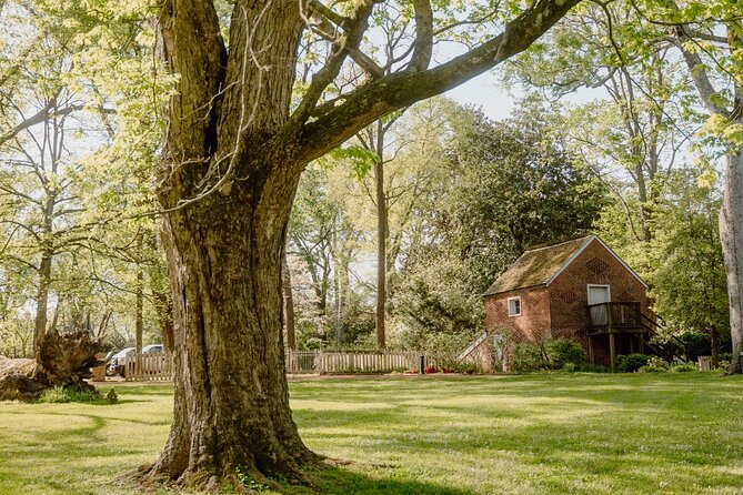 Belle Meade Guided Mansion Tour with Complimentary Wine Tasting - Price, group size, and practical planning