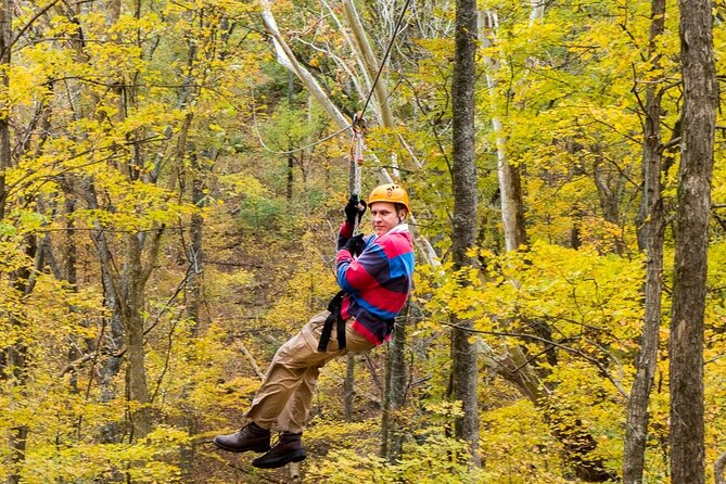 Fontanel Zipline Forest Adventure at Nashville North - Safety, equipment, and the practical dress code
