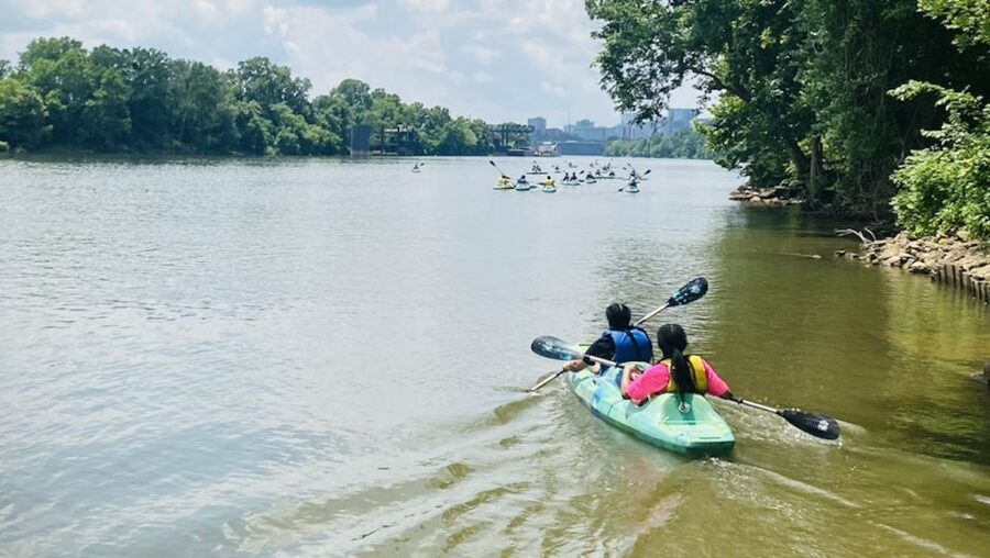 Nashville: Downtown Kayak Rental with Shuttle - Turtles, Herons, and the Working River