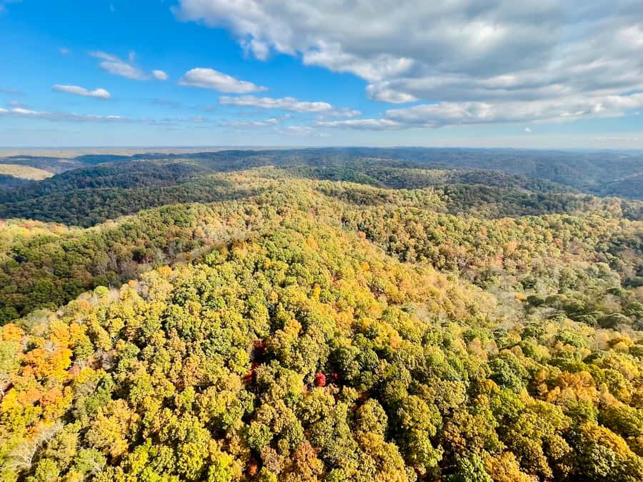 Nashville: River and Nature Tour - How to prepare for the flight