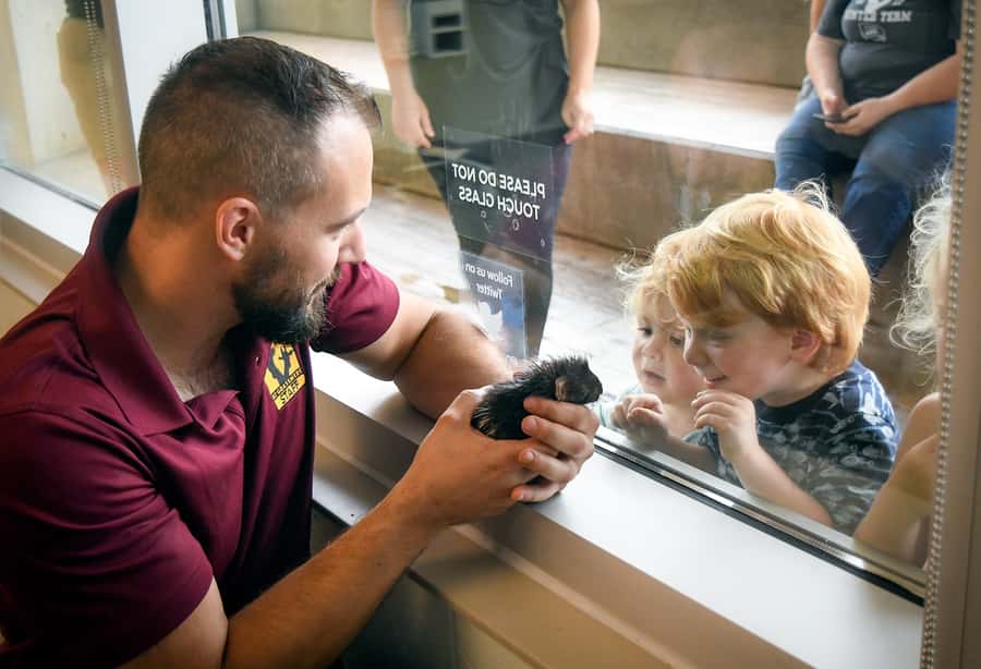 Nashville Zoo: Any-Day Admission Ticket - Kangaroo Kickabout and the closer encounters