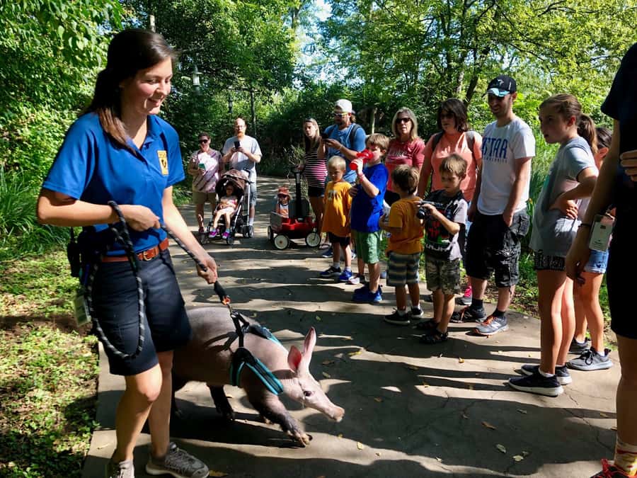 Nashville Zoo: Any-Day Admission Ticket - A family day with several optional add-ons