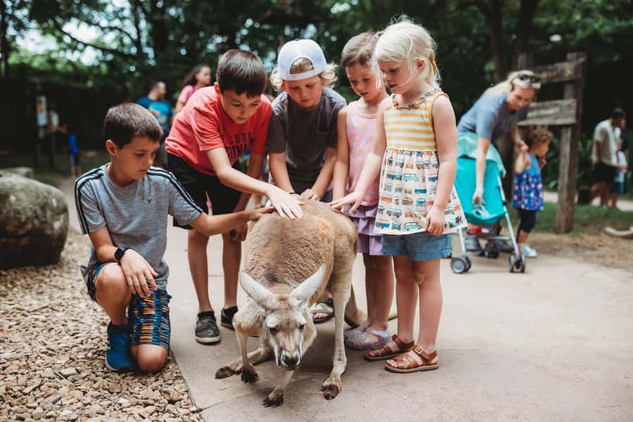 Nashville Zoo: Any-Day Admission Ticket - Start with the habitats, not the paid attractions