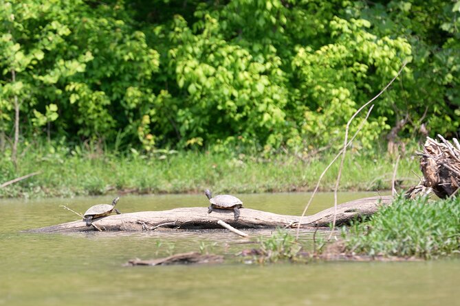 Small Group Clear Kayak Tour of Old Hickory Lake - Wildlife watching without leaving the boat