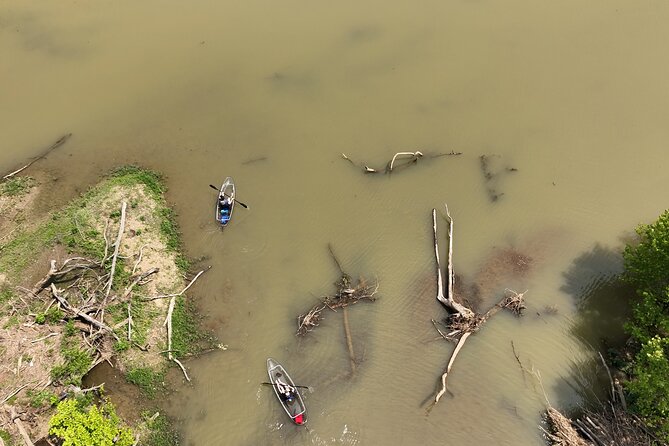 Small Group Clear Kayak Tour of Old Hickory Lake - How hard is the paddling?