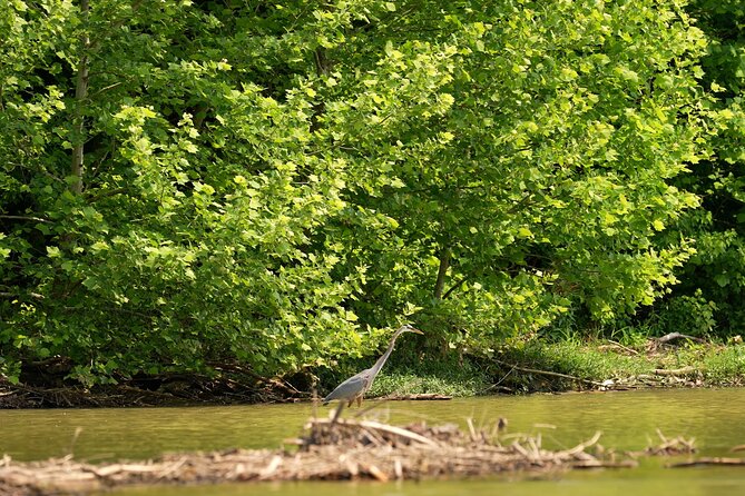 Small Group Clear Kayak Tour of Old Hickory Lake - Who will enjoy this Old Hickory Lake paddle?